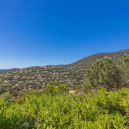 Rez De Jardin Vue